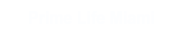 Prime Life Miami Логотип